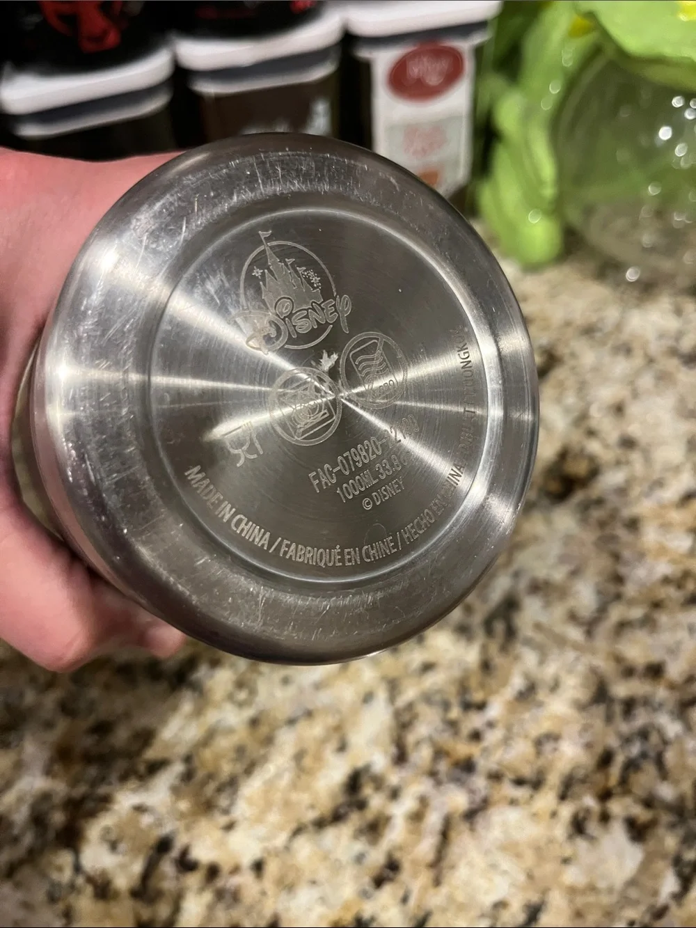 Walt Disney World Black Dreams Do Come True Stainless Steel Water Bottle